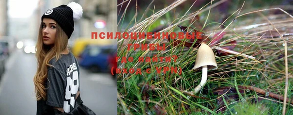 трава Бугульма