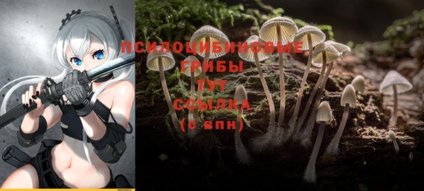 дмт Баксан