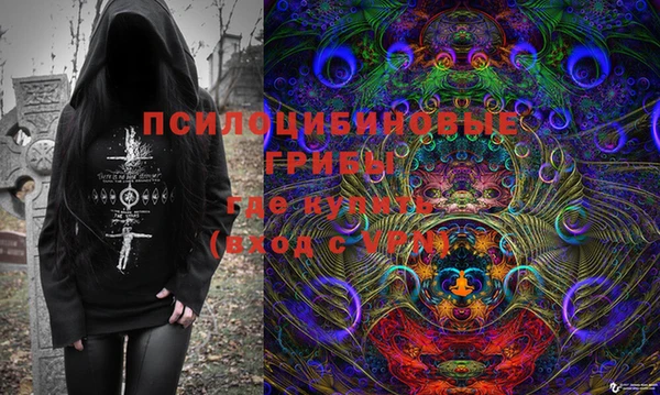 дживик Балахна