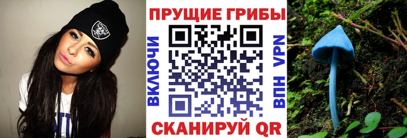 Псилоцибиновые грибы Magic Shrooms  где купить наркоту  мега ТОР  Кировск 